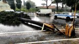 Allerta meteo a Roma, la Protezione Civile sorveglia le zone a rischio: ‘Attenzione agli alberi’