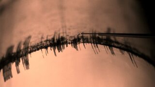 Terremoto vicino Roma: scossa avvertita ai Castelli, epicentro a Cecchina