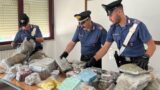 Casal Palocco, biscotti alla marijuana e scaffali di droga: allestisce supermarket stupefacente, arrestato insospettabile 31enne