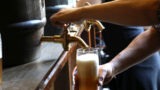 Grottaferrata, il Festival della Birra fa show: chiusura col botto con Random e l’Orchestraccia