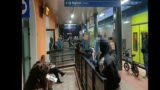 Roma-Napoli (via Cassino), cade un albero sui binari: treni in tilt tra Zagarolo e Colleferro
