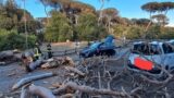 Tragedia sfiorata a Ostia: crolla un grosso pino su due auto, strada ancora chiusa
