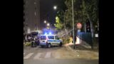 Roma, grosso ramo si spezza e cade sulla strada (FOTO)