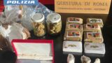 Spaccio, tentata estorsione e reingresso illegale tra Anzio e Nettuno: 4 arresti