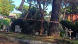 Roma, degrado al cimitero Flaminio di Prima Porta: le denunce degli utenti