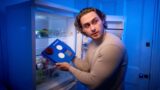 Pizza, stop ai ‘furti’ degli avanzi in frigo: arriva la “scatola cassaforte” Slice Security contro i coinquilini golosi