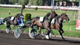 Ippodromo Capannelle: First of Mind vince il 97esimo derby Italiano del Trotto, a Follia d’Esi le Oaks