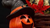 Halloween 2024, frasi e messaggi di auguri da inviare il 31 ottobre su WhatsApp e Facebook