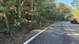 Portuense ancora chiusa al traffico per i lavori di potatura e messa in sicurezza delle alberature