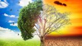 Roma dà il via libera al Piano di Adattamento Climatico
