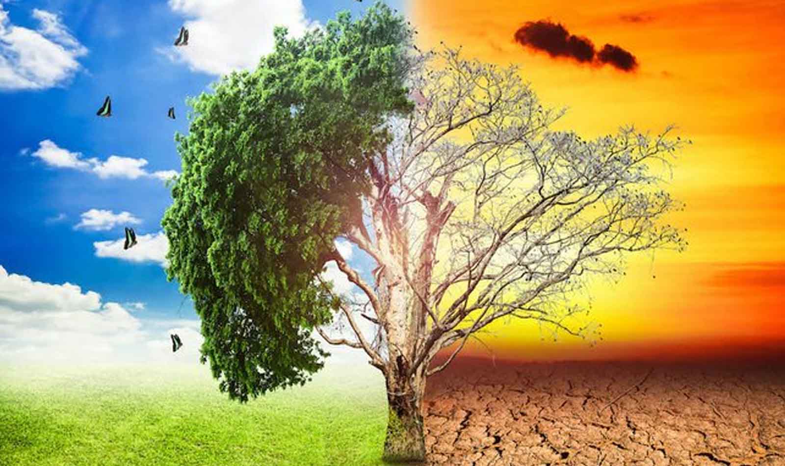 Roma dà il via libera al Piano di Adattamento Climatico