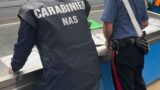 Roma, sequestro di granchi blu e multe salate al mercato Esquilino
