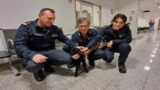 Roma, è “Salvo” il piccolo agnellino recuperato dalla polizia locale su via Borghesiana