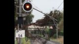 Maltempo, alberi caduti sulla Pontina e sulla Roma Lido: circolazione in tilt