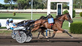 Roma, ippodromo di Capannelle, stop e gestione ponte, Rocca (FdI) porta il dossier in Commissione Trasparenza