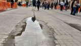 Roma, via Ottaviano allagata dopo i lavori: il ‘salotto’ di Gualtieri adesso ha anche la piscina (FOTO)