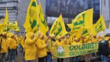 Agricoltura in ginocchio nel Lazio, Coldiretti contro l’assessore Righini: 7000 in protesta il 19 novembre