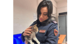 Ostia, Giornata della Gentilezza al Commissariato Lido: salvato gattino
