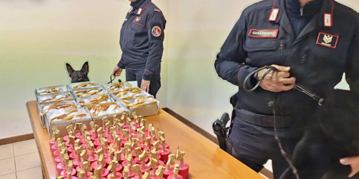 Carabinieri in azione a Dragoncello
