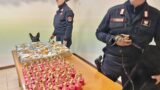 Dragoncello, un’arsenale di bombe carta e da mortaio: pistole e fucili nascosti in un anonimo condominio