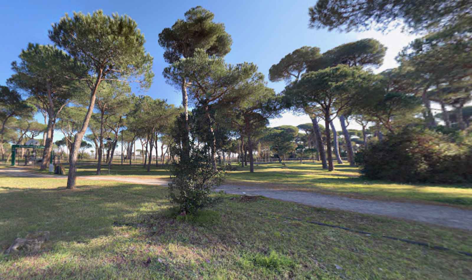 Pineta di Fregene
