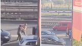 Roma, rissa stradale sulla Casilina, ma si vede il mare… di Lisbona: video virale era un fake
