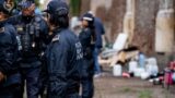 Roma, tensione a Colli Albani: minaccia la Polizia con un cane di grossa taglia