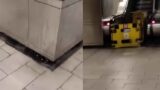 Roma, oggi riapre la fermata Furio Camillo della metro A, ma i problemi restano. I pendolari: ‘Cosa è cambiato?’