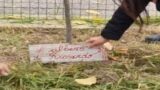 Acilia, un albero per Riccardo Pica e un futuro più verde nel Parco della Madonnetta