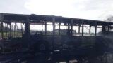 Roma, incendio sul bus Atac: era in servizio da vent’anni