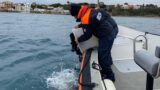 Santa Marinella, la Guardia Costiera sequestra oltre 80 kg di ricci di mare e sanziona 3 pescatori