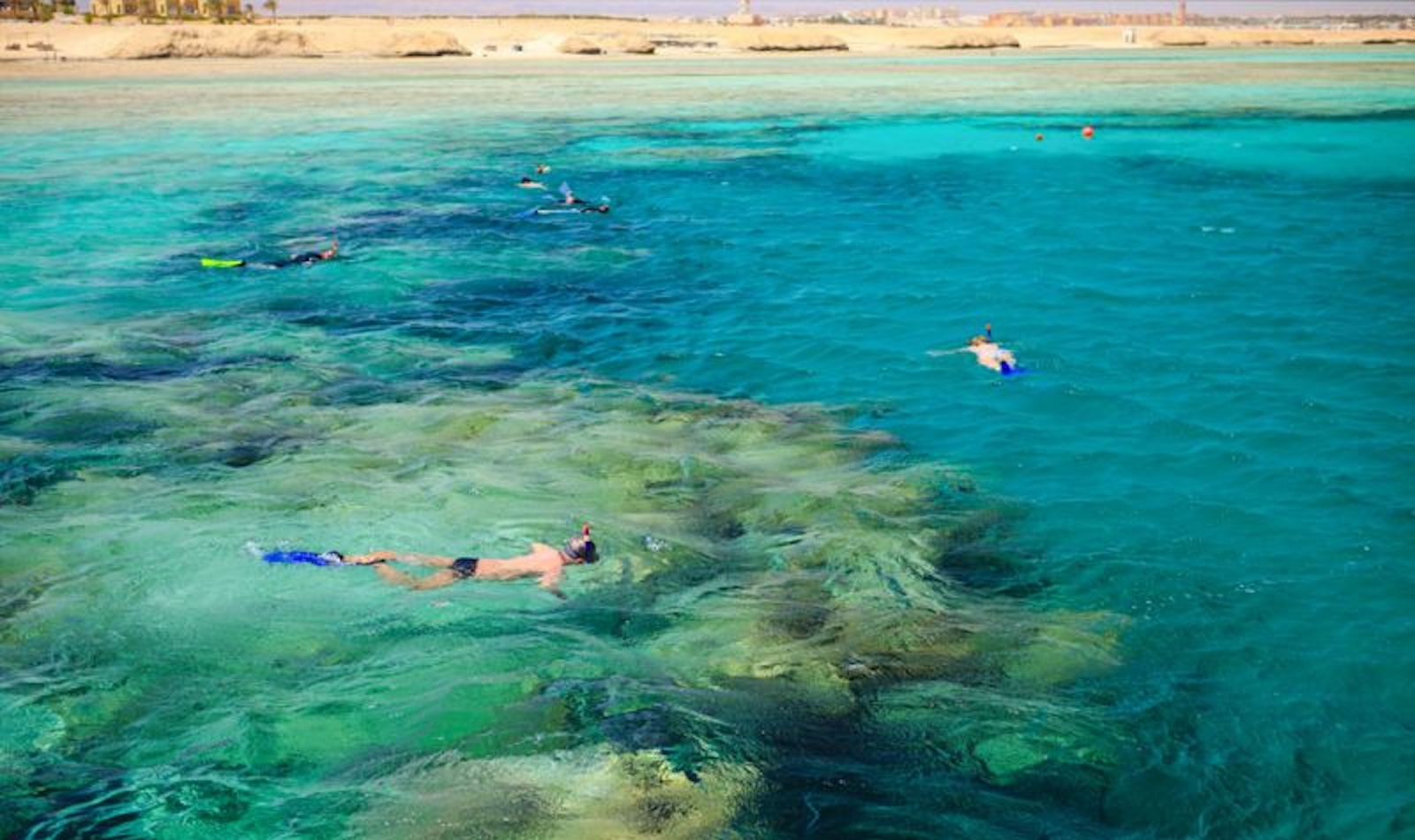 Turista romano morto ucciso da uno squalo a Marsa Alam