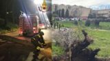 Roma, 90 interventi per alberi pericolanti in un giorno: dove sono i soldi per il verde pubblico?
