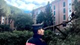 Roma, cade un albero su un edificio: rotta tubatura del gas, tragedia evitata per un soffio