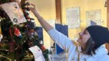 Velletri, laboratorio di decorazioni natalizie: allestito l’albero di Natale presso il Palazzo Comunale