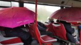 Roma, piove sui bus Atac: turisti e pendolari costretti ad utilizzare gli ombrelli anche a bordo