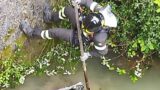 Roma, bici elettriche e monopattini gettati nel Tevere o abbandonati in strada: è iniziata la bonifica