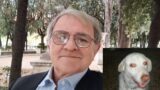 Giuseppe Francesco Letizia investito e ucciso sulla Togliatti mentre porta a spasso il cane: pirata della strada senza assicurazione