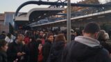 Metromare, cade un albero sulla linea area: pendolari bloccati e disagi