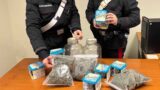 Roma, 66enne arrestato per droga: in casa 400 grammi di marijuana nascosti in barattoli