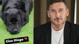 Roma, è morto Diego, il cane di casa Totti: l’addio social di Francesco e Chanel