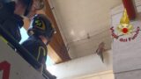 Roma, falco si impiglia in una rete di un balcone a Talenti: salvato dai vigili del fuoco