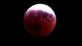 Eclissi totale di Luna del 14 marzo: le più belle immagini da tutto il mondo