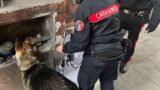 Roma, consegne “stupefacenti” con finti rider e brutali rapine: sgominata rete della cocaina “delivery”
