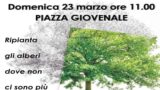 Roma, riforestazione urbana a Balduina: Balduina’S e ReTree insieme per ripiantare gli alberi mancanti
