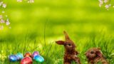 Auguri Pasqua: le migliori frasi e citazioni da inviare su Facebook e WhatsApp