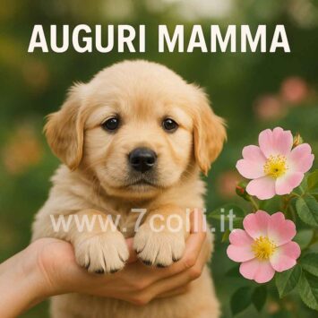 cucciolo auguri mamma