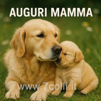 cucciolo mamma