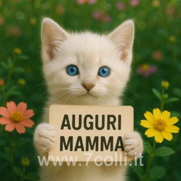 Auguri mamma gattino
