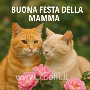 gatti